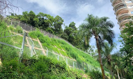 金湖山莊東側后山邊坡等邊坡治理工程（Ⅱ標段）